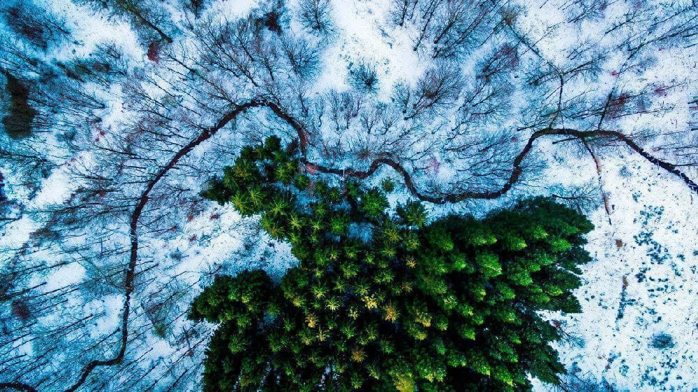 fotografía drones