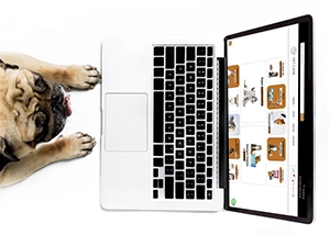 PETCARE TIENDA ONLINE
