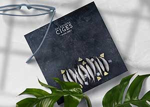 ciges-catalogo-